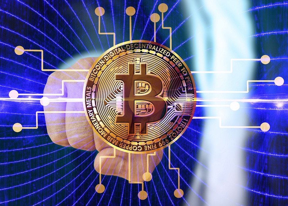 马斯克回归特斯拉、减少DOGE工作！TSLA与狗狗币双双暴涨